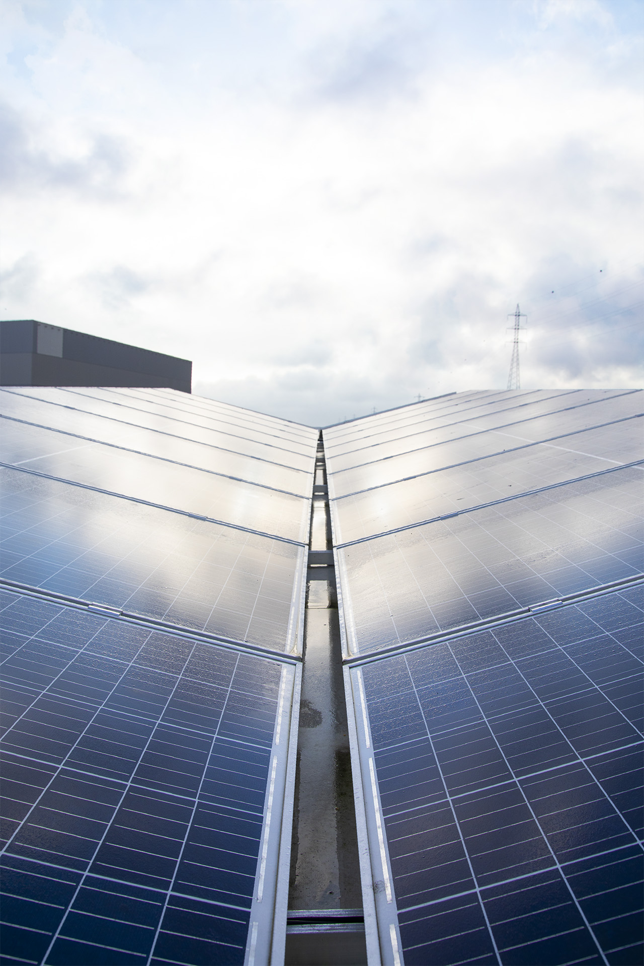 Il n'y a pas encore enregistré d'image pour cette section