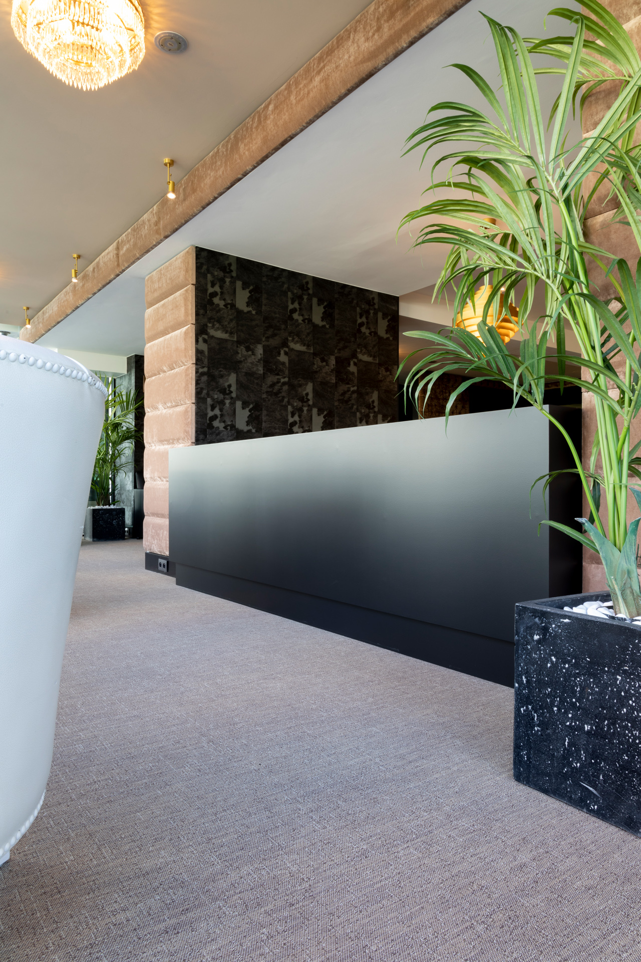 Juno • Hotel Lugano - Belgium