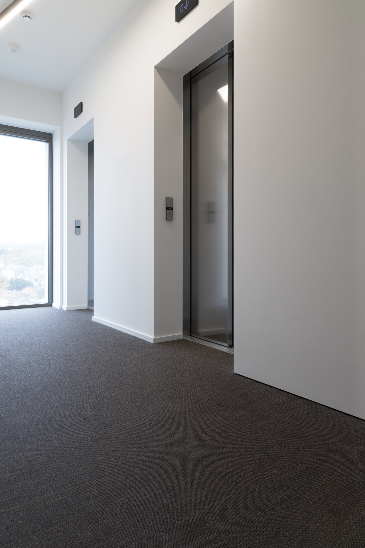 Orion • Woods - Belgium