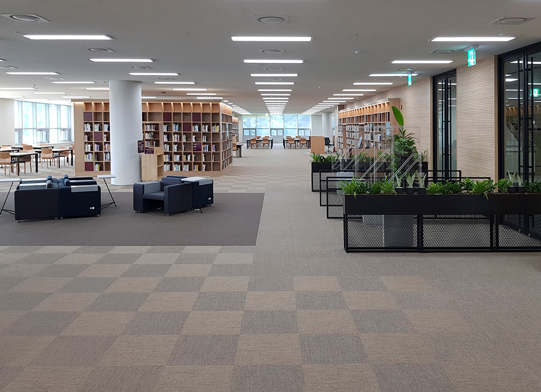 Coffee Bean - Orion - Moonless Night - Asteroid - Corona - Atmosphere - Equinox • National Library of Korea - South Korea