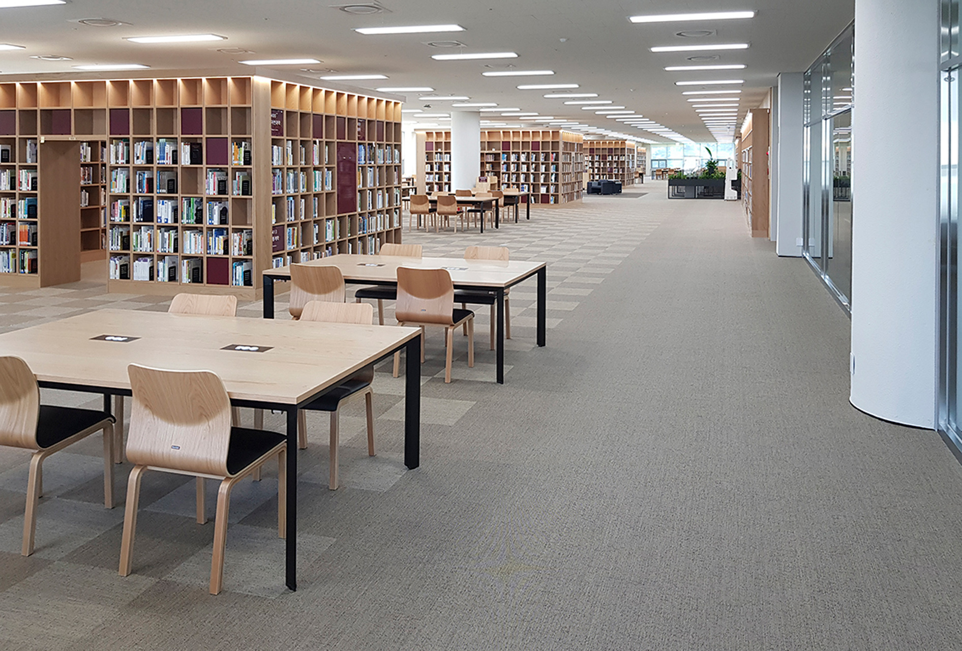 Coffee Bean - Orion - Moonless Night - Asteroid - Corona - Atmosphere - Equinox • National Library of Korea - South Korea