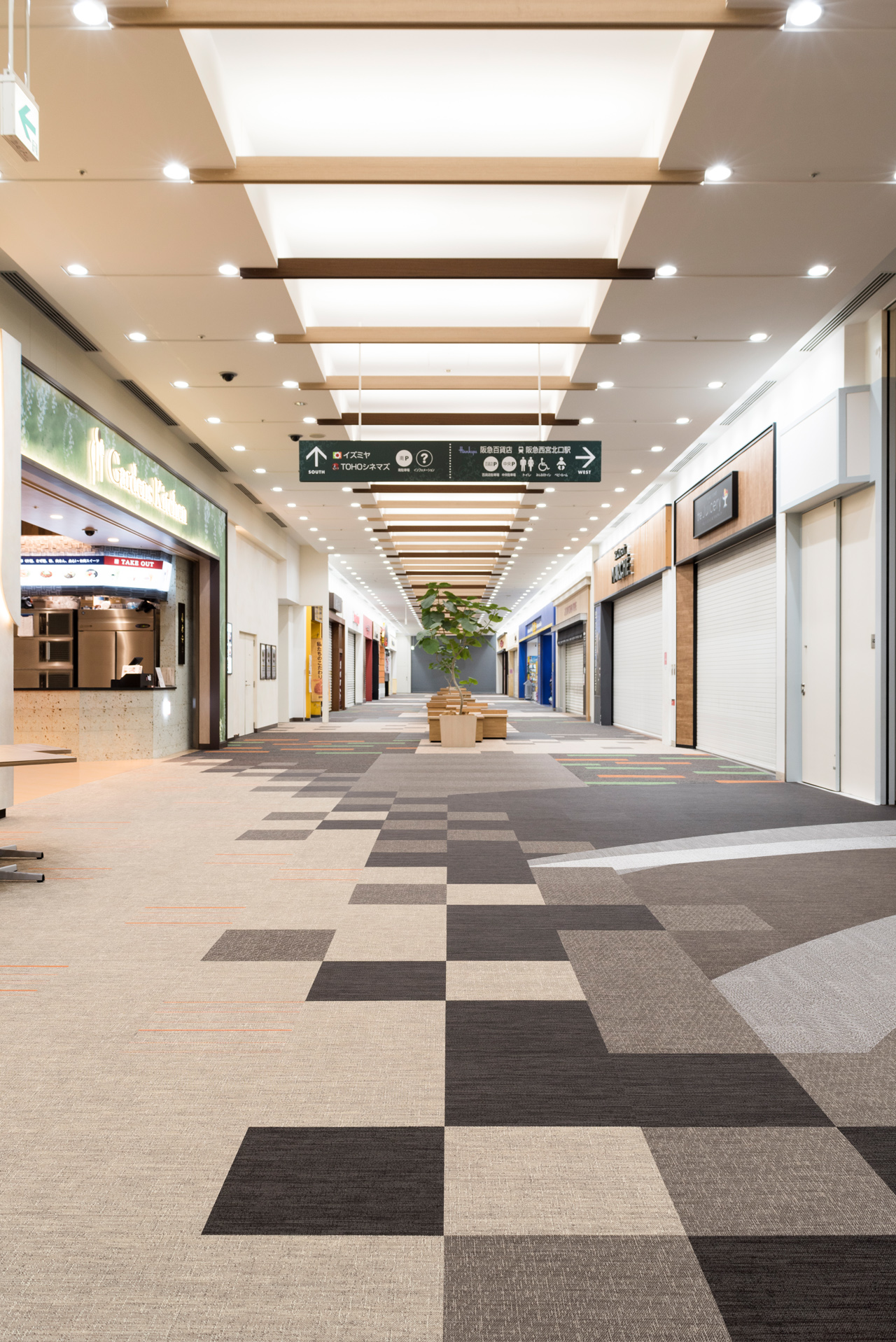 Morion Brown - Moonrock - Orion - Nebula - Moonrock Orange • Nishinomiya Gardens - Japan