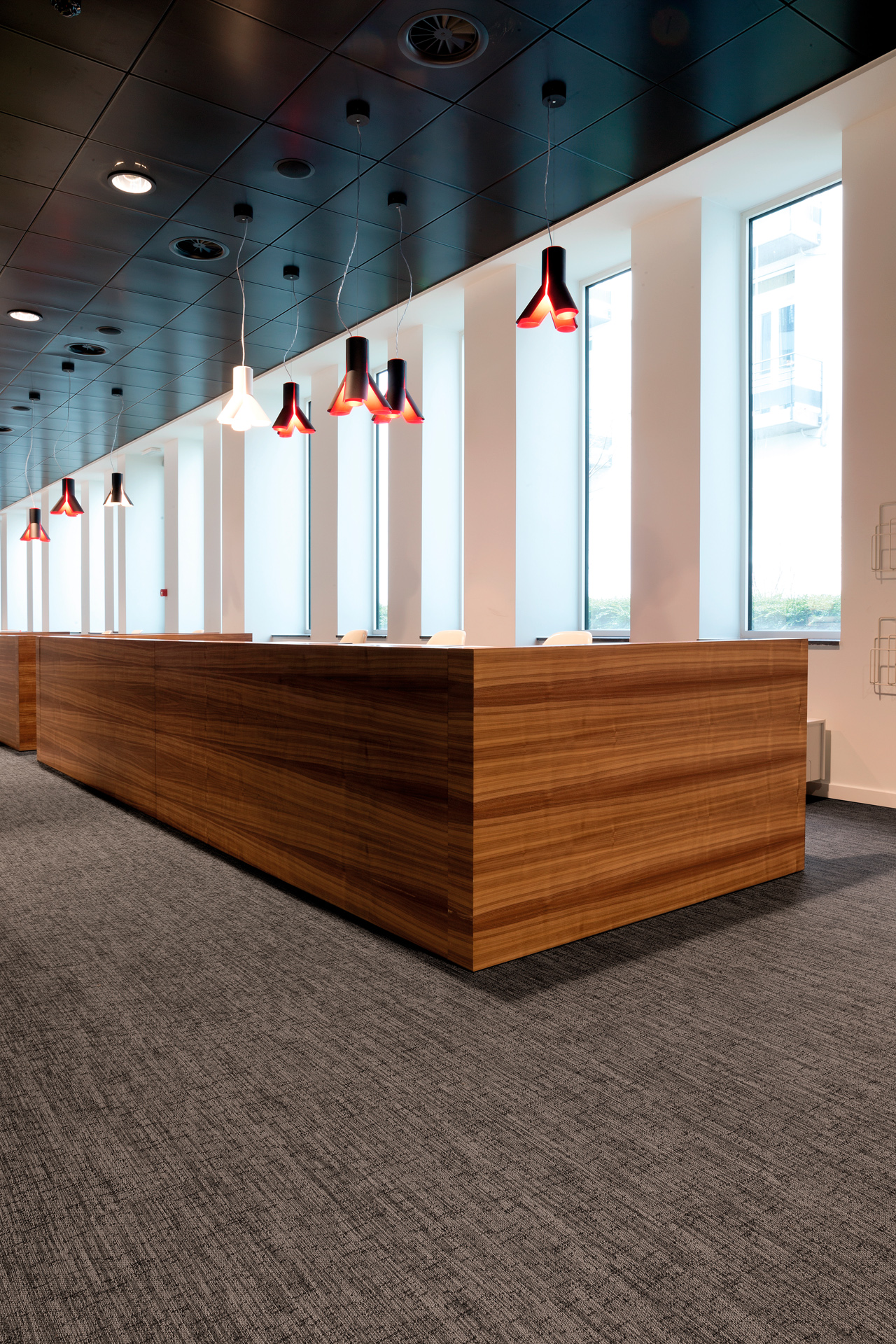 Moonless Night • Vlaamse Gemeenschapscommissie - Belgium