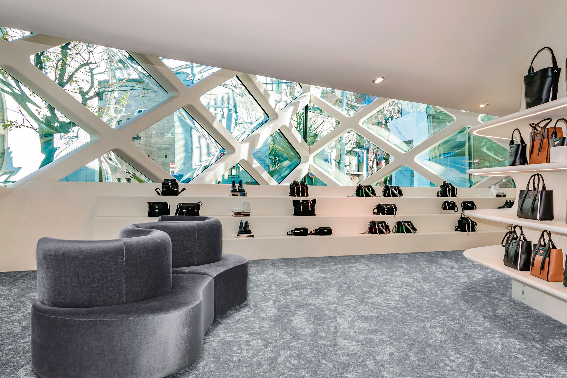 Antarctic • Retail Store - Japan