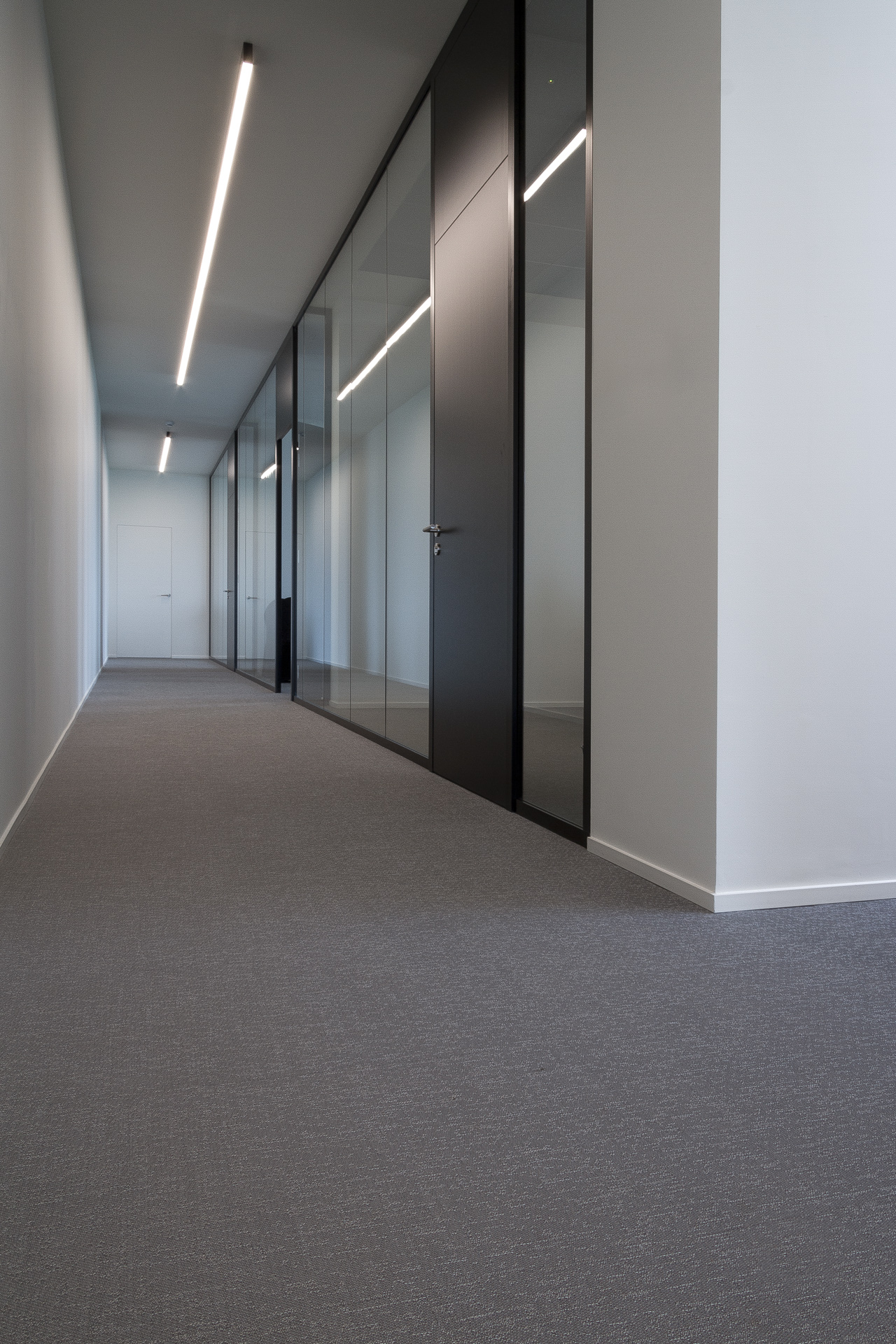 Titan • Fides Petfood - Belgium