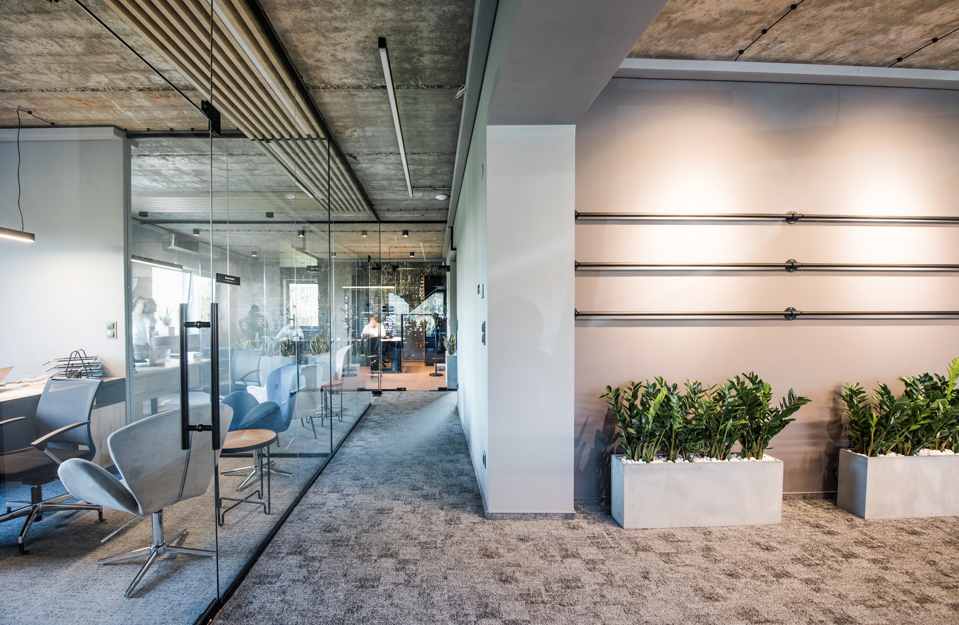 Galena • Surfin Polska - Poland