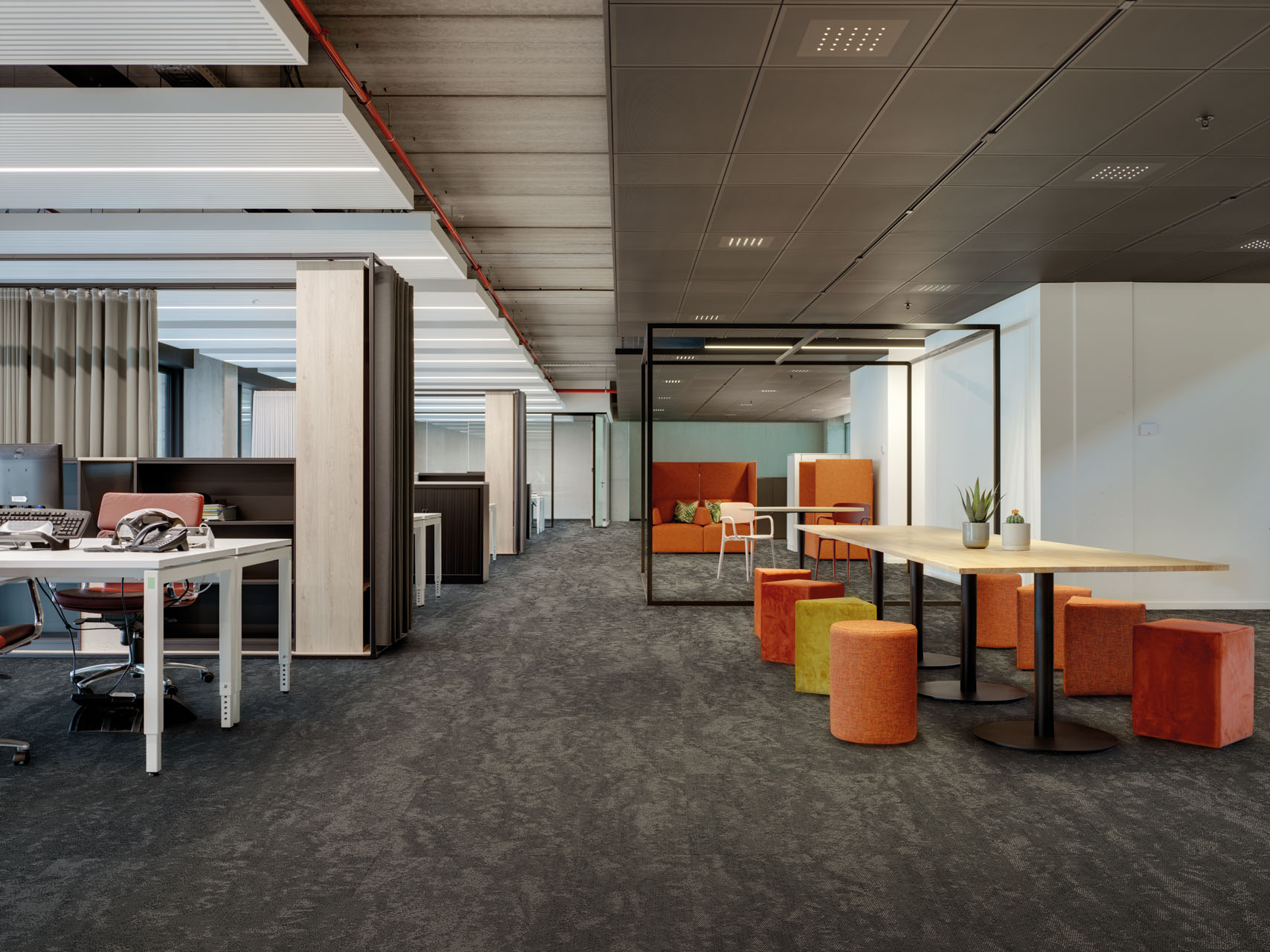 Hoyos • VM HQ - Belgium