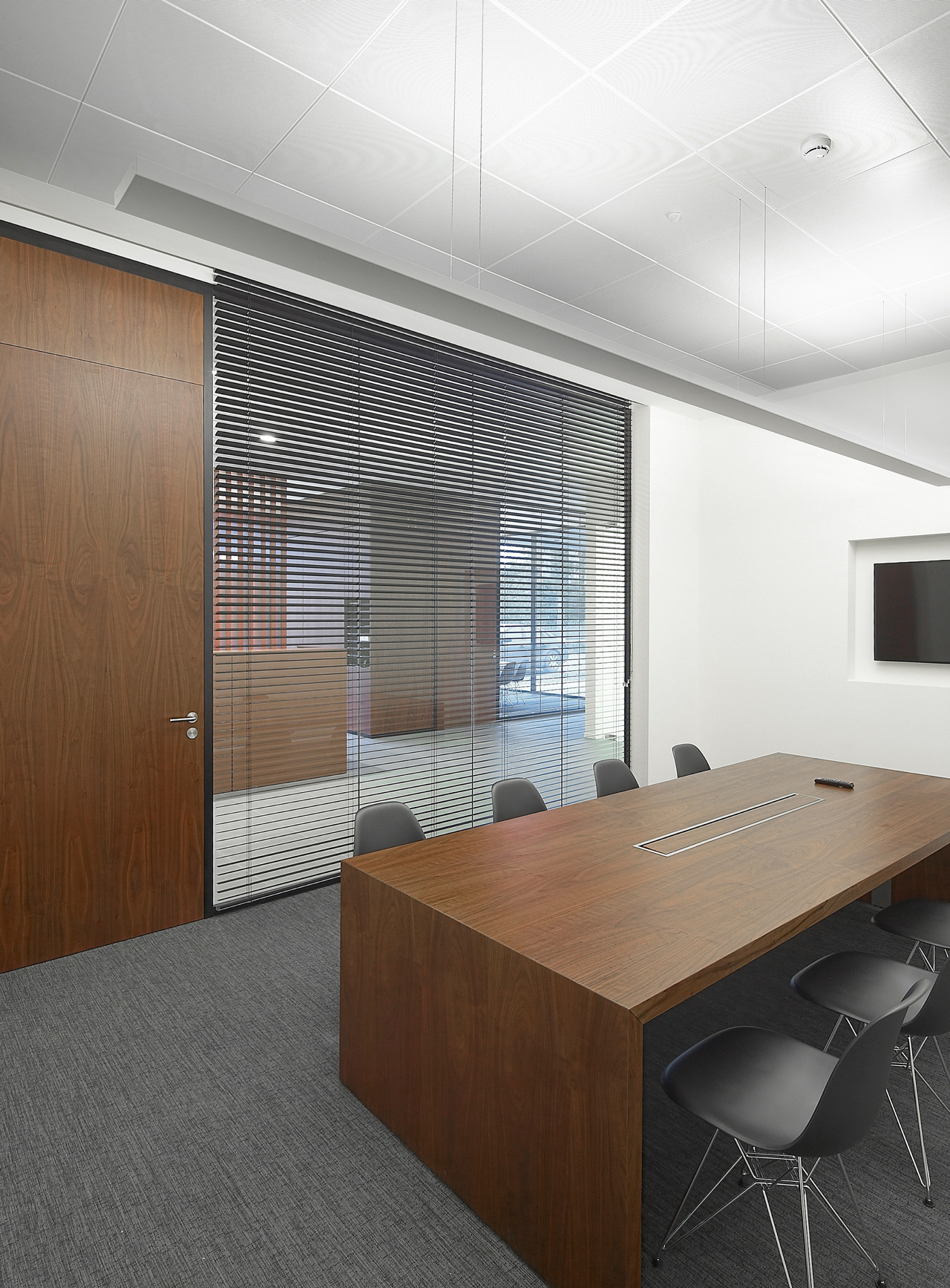 Moonless Night - Eclipse • Voeders Depre - Belgium