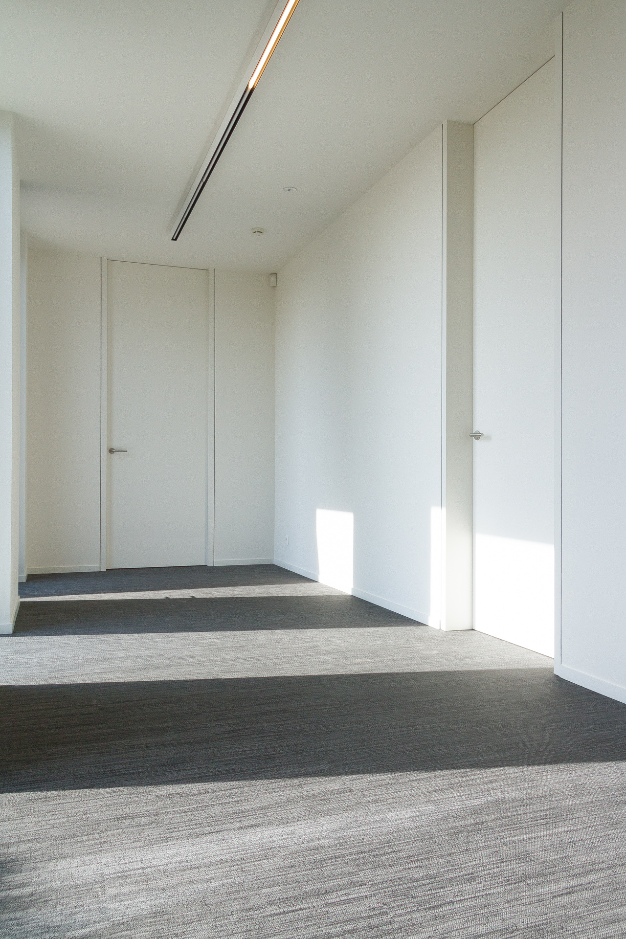 Moonless Night - Eclipse • Voeders Depre - Belgium