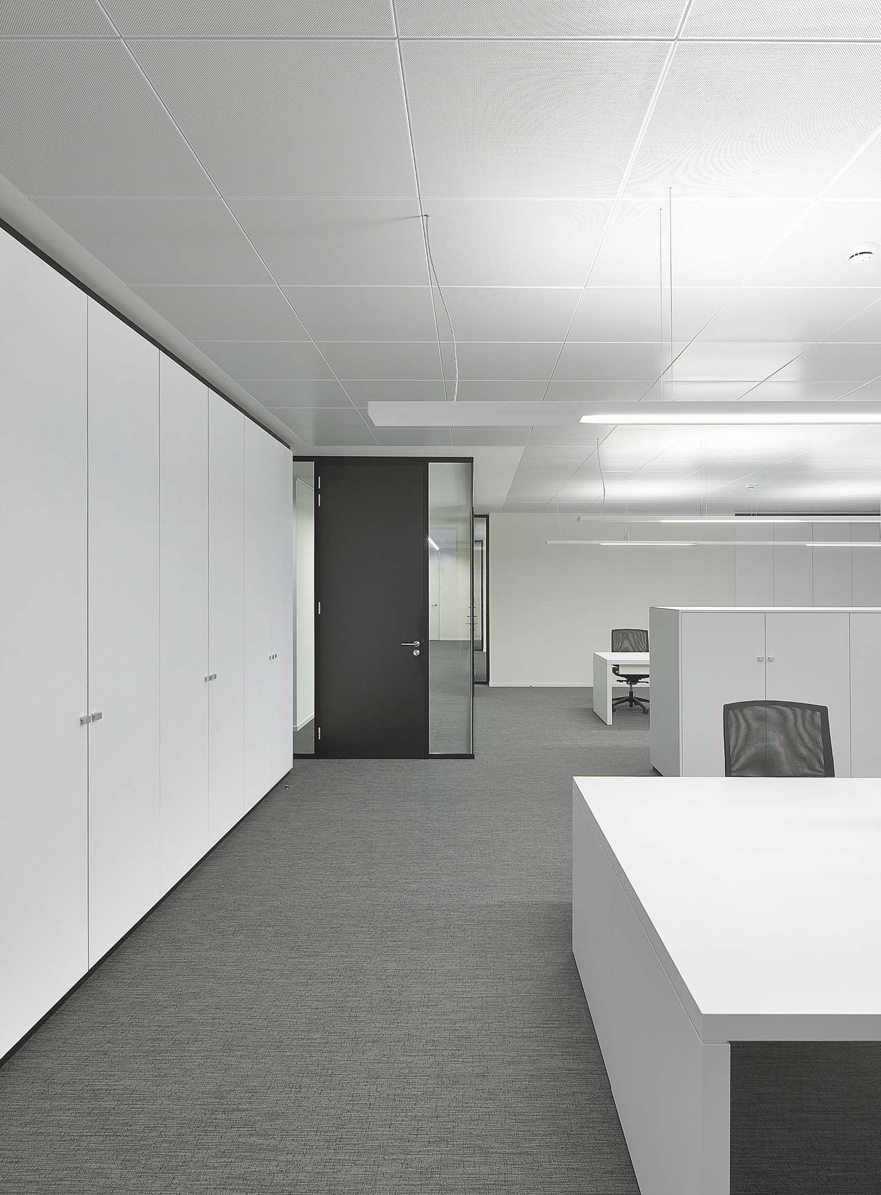 Moonless Night - Eclipse • Voeders Depre - Belgium