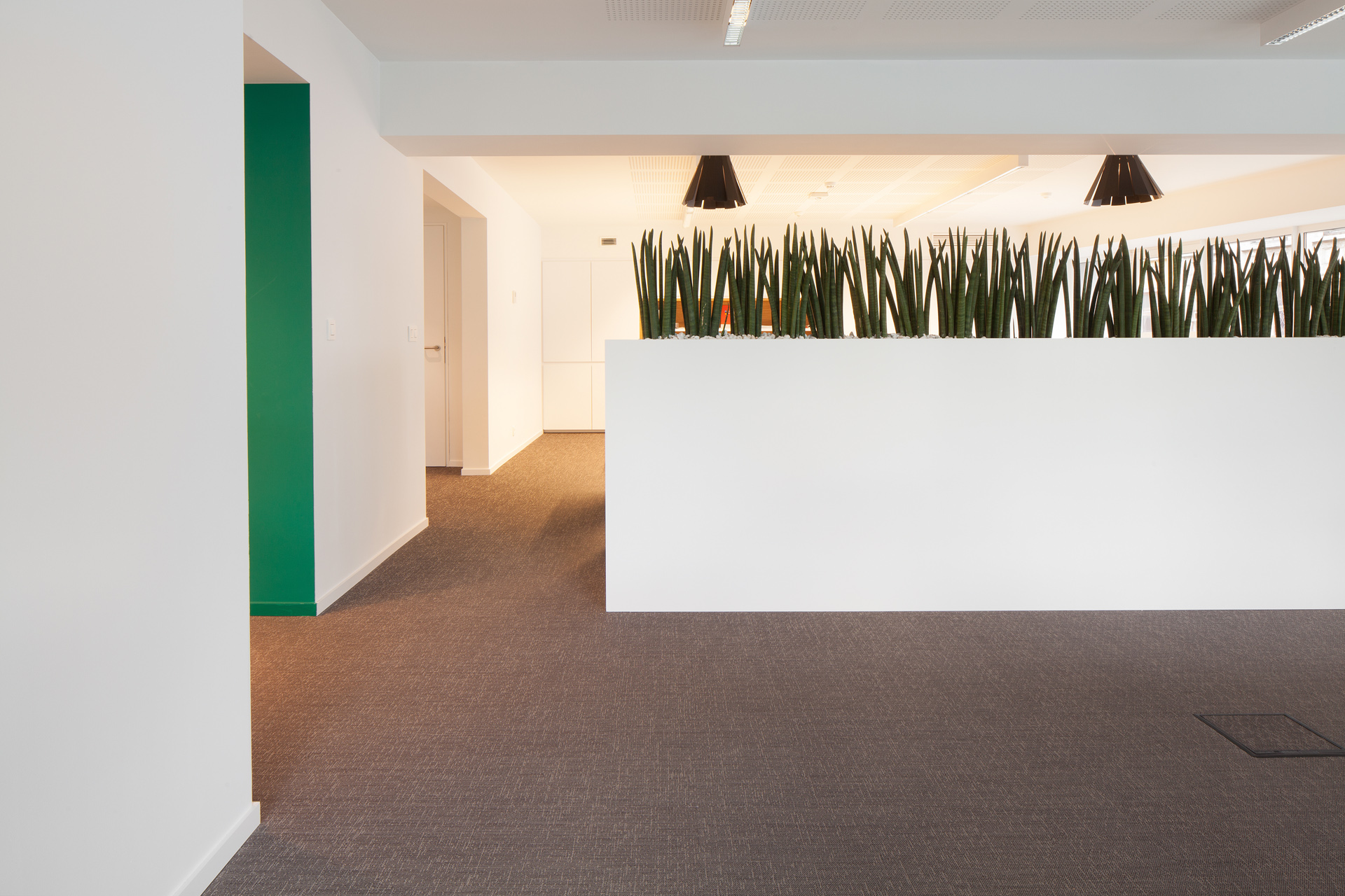 Juno • Voka - Belgium