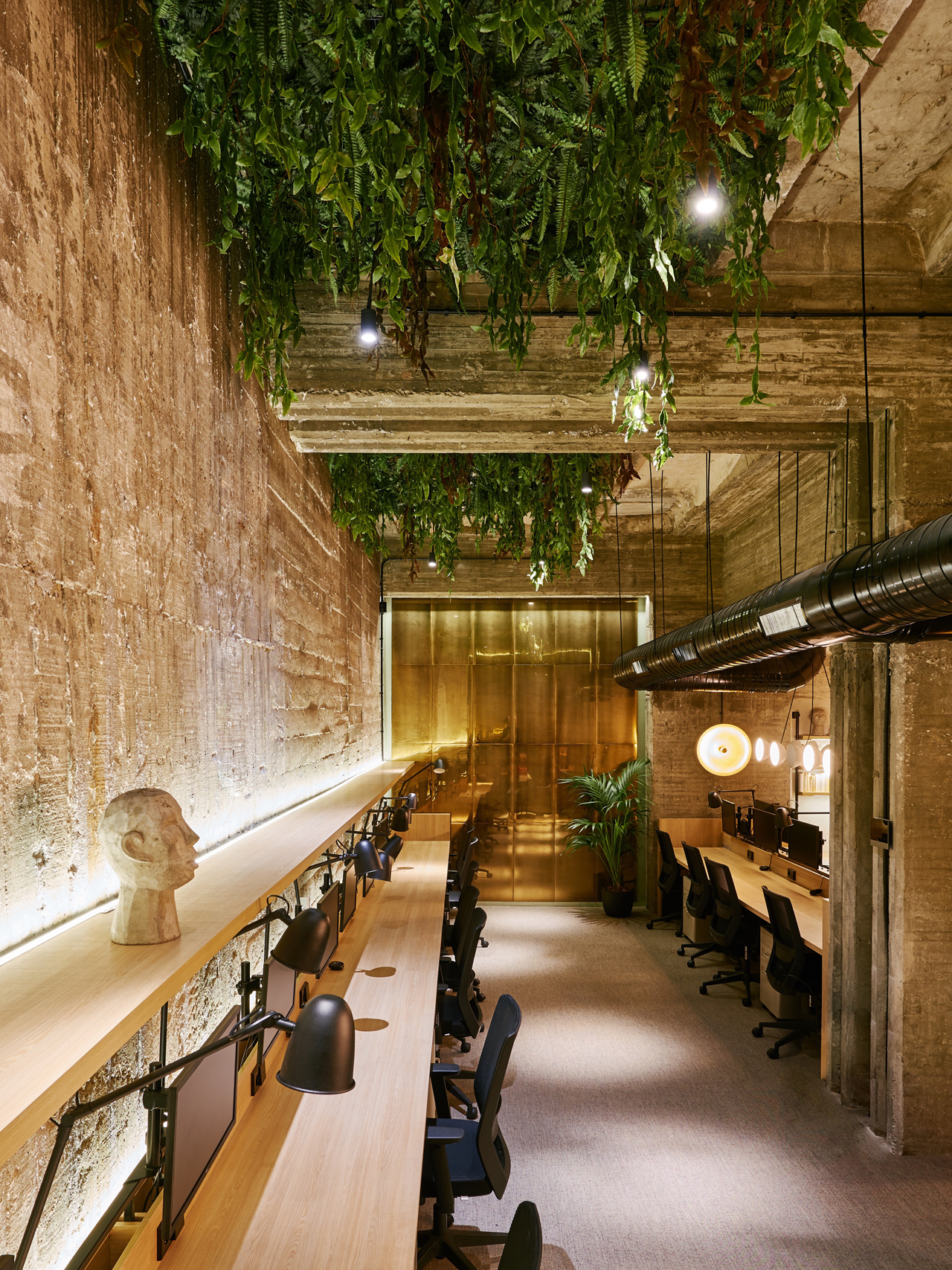 Coffee Bean • Workout Events - Spain